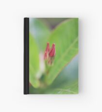 Plant close-up Hardcover Journal