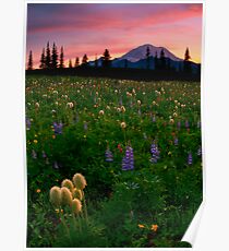 Alpine Garden Poster