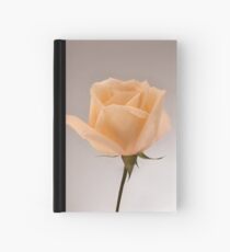 Salmon Rose Notizbuch