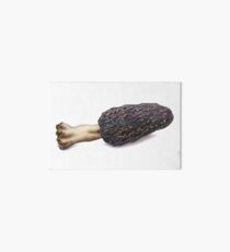 Black Morel Illustration Art Board Print
