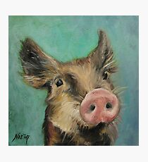 Little Piglet Photographic Print