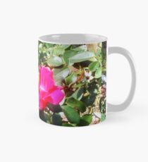 belles roses sauvages roses Mug classique