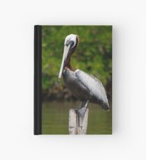 Posing Pelican Hardcover Journal
