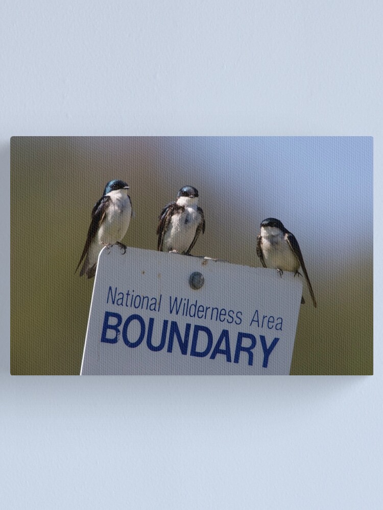 Alternate view of Border Patrol Canvas Print