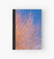 Winter willow Hardcover Journal