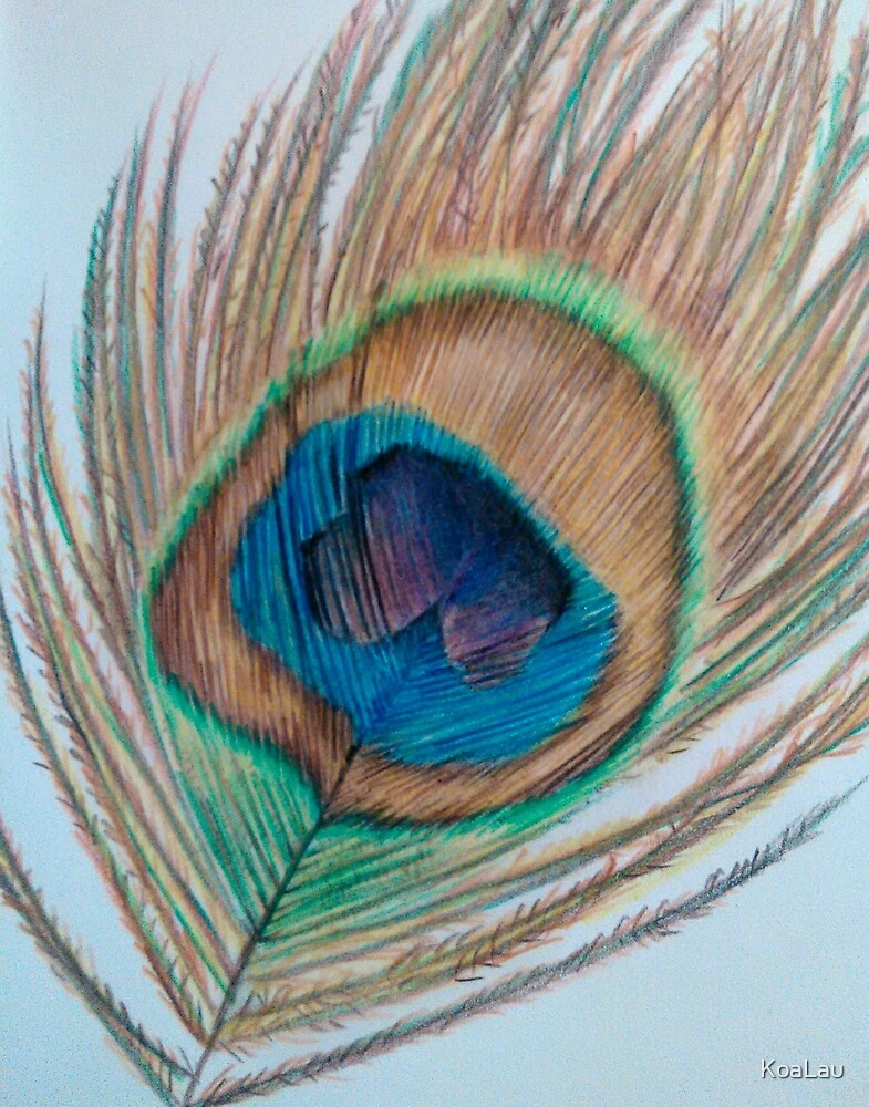 Dibujo A Lapiz De Pluma De Pavo Real De Koalau Redbubble