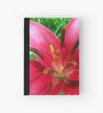 splendor. Hardcover Journal