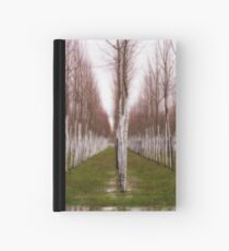 Willows Hardcover Journal