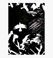 Crows (Drawn on cartridge paper) Photographic Print