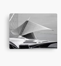 Like Wings on a Bird Canvas Print