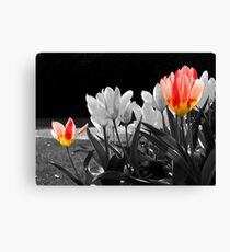 Two-LIps Canvas Print