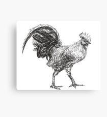 Rooster Canvas Print