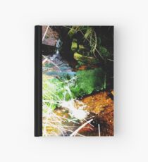 Golden Drizzle Notizbuch