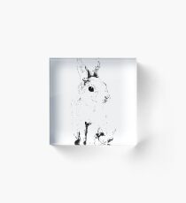 Hase Acrylblock