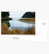 The Gardiner Gap Steam at Rangitoto Postcards