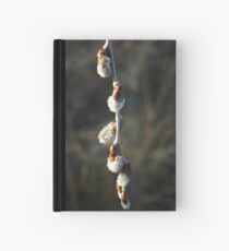 Pussy Willow 2 Hardcover Journal