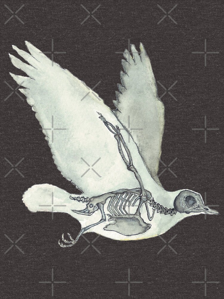Bird Skeleton: Animal Dove Anatomy by osuariumfloreus