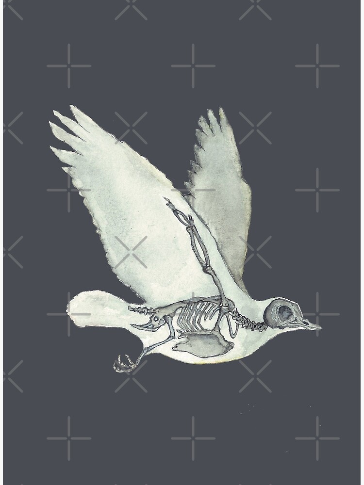 Bird Skeleton: Animal Dove Anatomy by osuariumfloreus