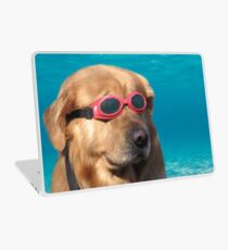 Vinilo para portátil Perro nadador