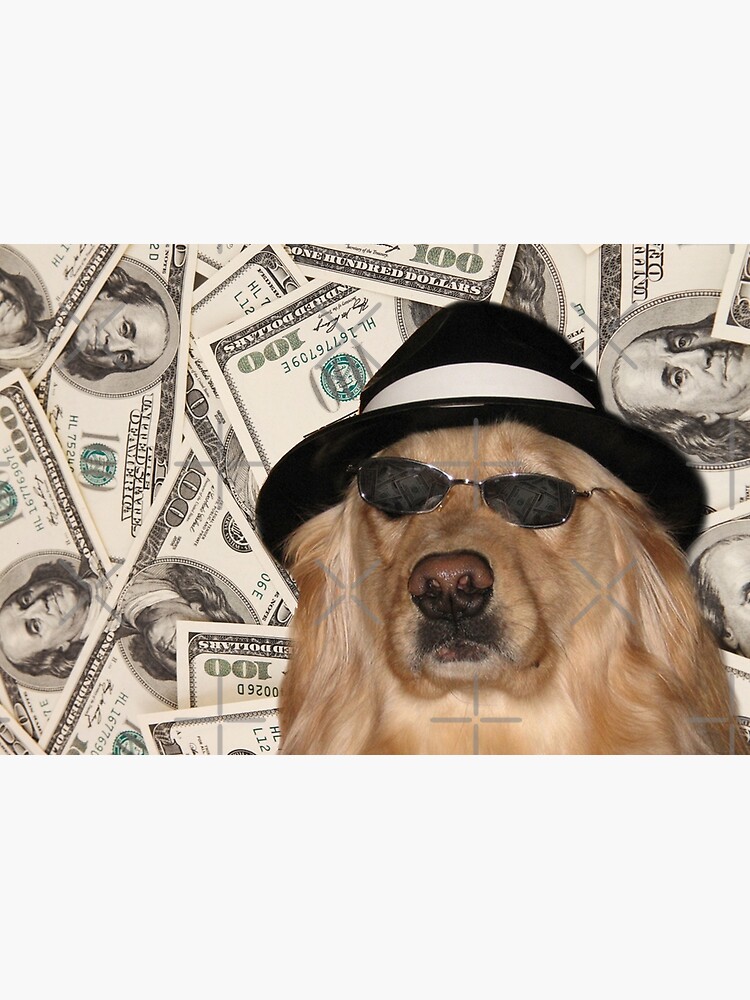 Rich Dog, Doggo #3 by Elisecv