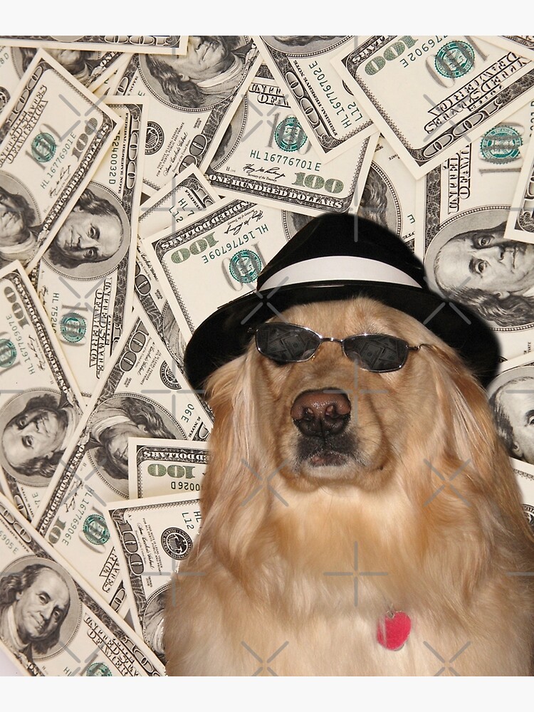 Rich Dog, Doggo #3 by Elisecv