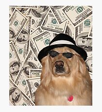 Rich Dog, Doggo #3 Photographic Print