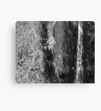 Gaia Canvas Print