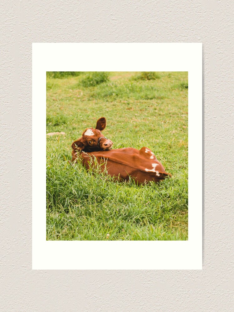 Alternate view of Moo Art Print
