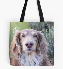 Teddie Boy Tote Bag