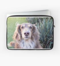 Teddie Boy Laptop Sleeve