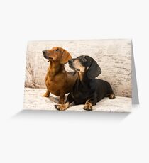 Grandpa and Grandson Greeting Card