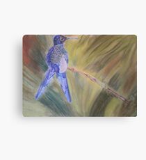 Hummingbird - pastel on paper Canvas Print