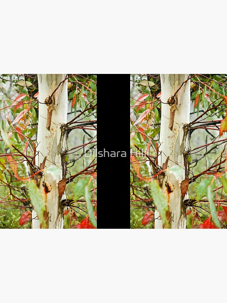 Colours of the bush - Blue Mountains, NSW by dilshara
