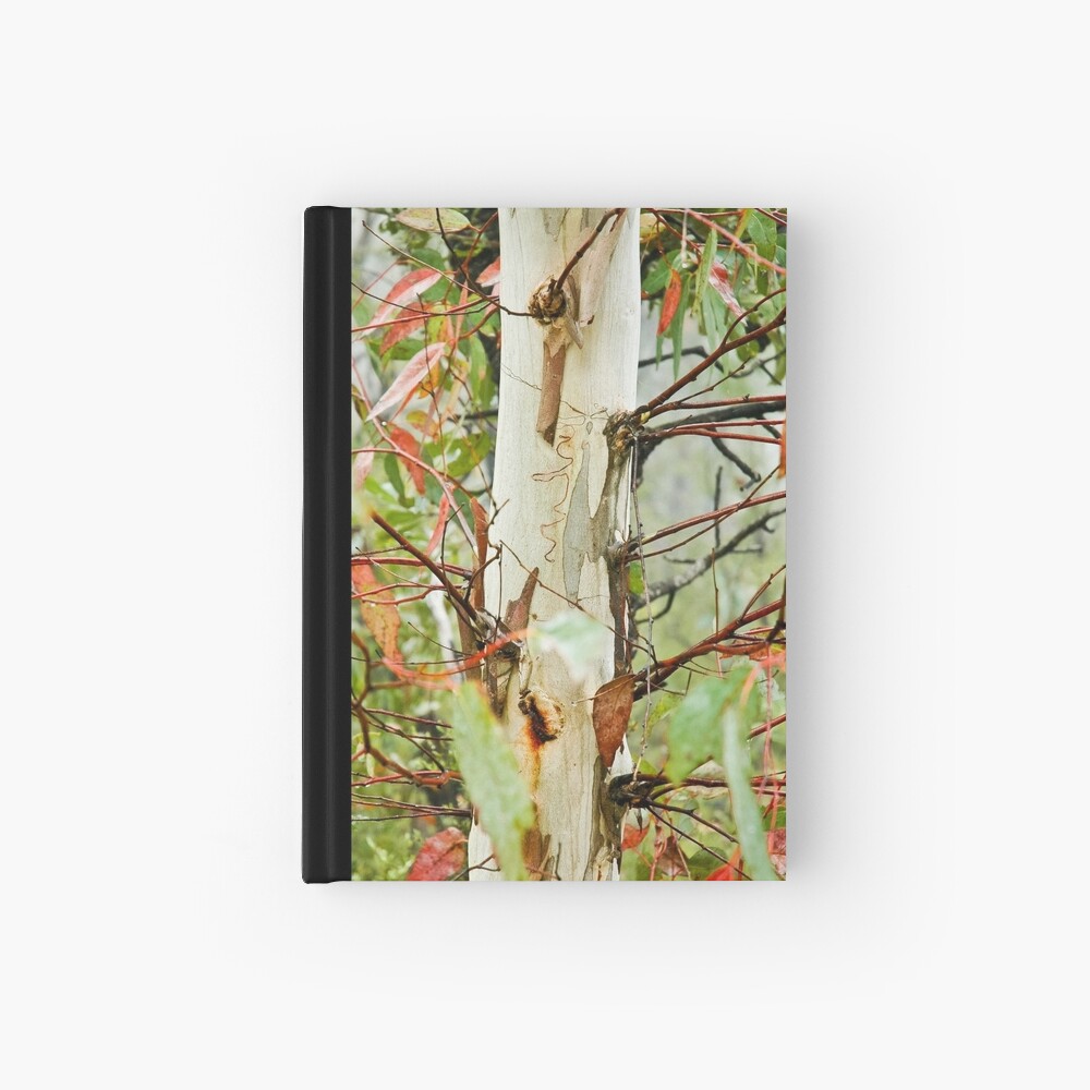 Colours of the bush - Blue Mountains, NSW Hardcover Journal