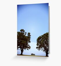 twiddle dee, pohutukawa tree Greeting Card