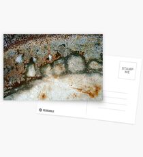 Mr.Penguin Postcards