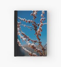 Icing Hardcover Journal