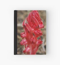 Sequoia Snow Plant Hardcover Journal