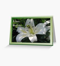 Happy Birthday Greeting Card With A White Lily Greeting Card