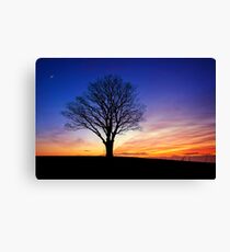 Vernal Equinox Canvas Print