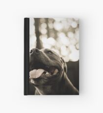 Bokeh Boofhead Hardcover Journal