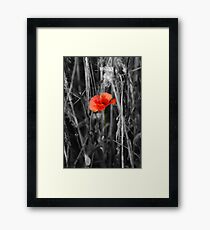 Always Remember Framed Print