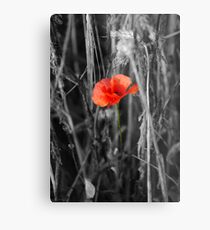 Always Remember Metal Print