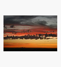 In Flight at sunset Photographic Print