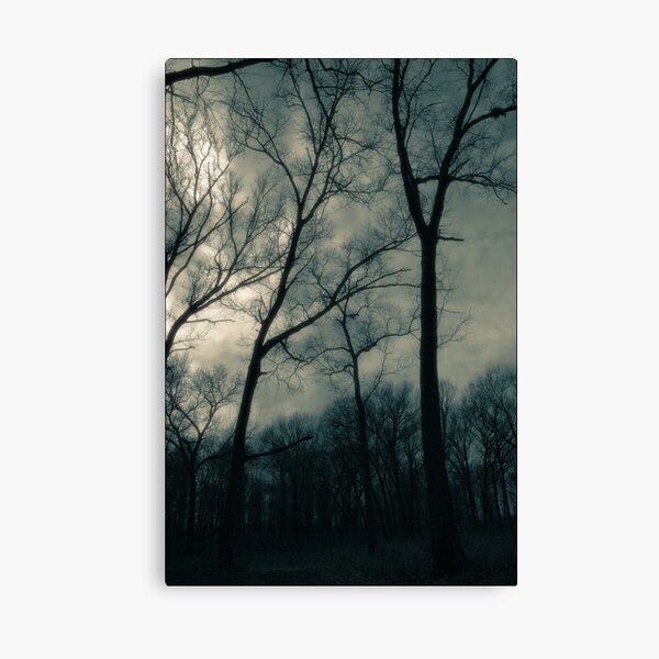 The Spring Sky Canvas Print