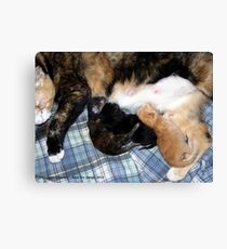 Newborns Nursing Canvas Print