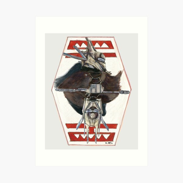 Enfys Nest Art Print