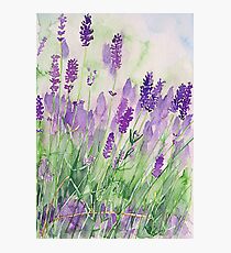 Parfum de la Provence Photographic Print