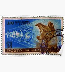 Laika, der erste Reisende in Cosmos (rumänische Briefmarke von 1959) Poster