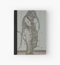 Water Snake, Bolzano/Bozen, Italy Hardcover Journal